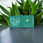 Cha Peppermint Cool 25pc